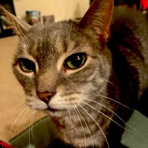 Meet your Posher, Jesse